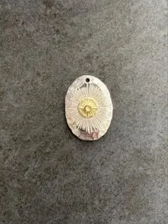 アリゾナフリーダム　ペンダントトップ