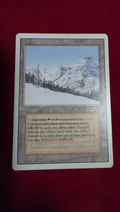 2026年最新】TAIGA MTGの人気アイテム - メルカリ