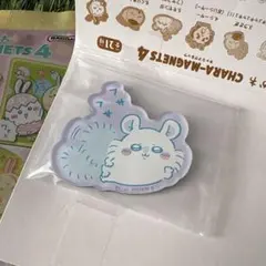 モモンガ マグネット ②