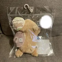 Item thumbnail for item 00303693-bd7d-4983-913c-7f7df12f8713