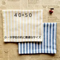 No.150ー1　ランチョンマット40×50 2枚セット