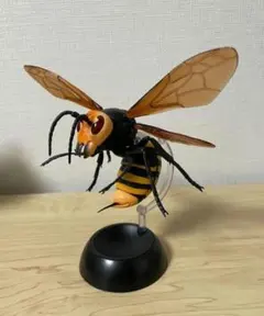 オオスズメバチ　いきもの大図鑑すずめばち　昆虫　生き物　ガチャ