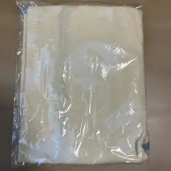 Item thumbnail for item c59b0133-c7d5-4378-9f36-052d7cd4282c