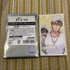 Nu:カーニバル きらきらカードコレクションvol.3 ケシー