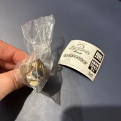 Item thumbnail for item 0d764065-630c-4c26-997b-871dbd3c91b4