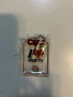 treasure カプセルトイ アクキー お守り ハルト