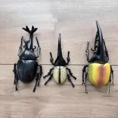 カブトムシ クワガタ フィギュア 3点セット アニア ヘラクレスオオカブト 昆虫