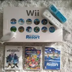 wii ゲームソフト付き