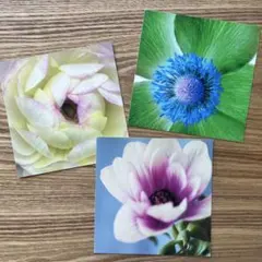 Item thumbnail for item 854278ad-4a36-4e01-820a-782b5294ec8a