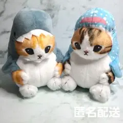 mofusand モフサンド えびにゃん みかん ぬいぐるみ 匿名配送 - メルカリ