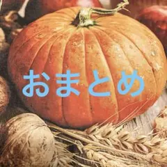 norinori様 リクエスト 7点 まとめ商品
