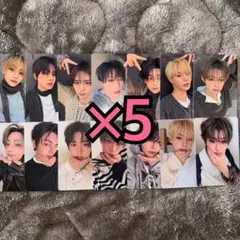 ALD1 少年BEAST トレカ タワレコ 特典 ラキドロ 14種コンプ ×5