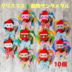 チャッピー様 専用ページ·͜·ᰔᩚ