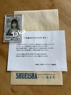 Item thumbnail for item 268ca15a-4123-42ff-9f01-22b1491d294e