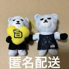 2026年最新】テソンぬいぐるみの人気アイテム - メルカリ