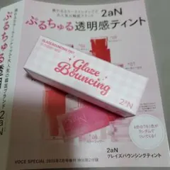 ２aN ティント １０