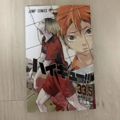 ハイキュー!! 33.5巻 音駒番外編！！