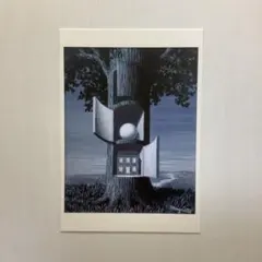 まるっこちゃん様 リクエスト 6点 まとめ商品