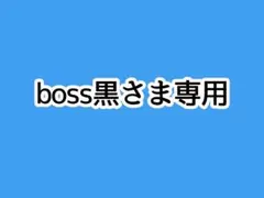 専用ページ