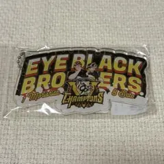 アイブラックブラザーズ 佐藤輝明 森下翔太 阪神タイガース 優勝記念キーホルダー