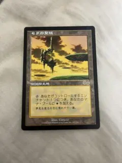 2026年最新】セラの聖域の人気アイテム - メルカリ