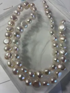 天然クラムパール／トリダクナパール（約1.9ct） 天然クラムパール／トリダクナパール（約1.9ct） - メルカリ
