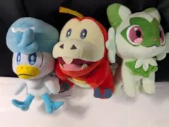 ポケセン　ポケモンセンター　ぬいぐるみ　御三家　ホゲータ　クワッス　ニャオハ