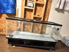 水槽 120cm-30-40上部フィルターセット - メルカリ
