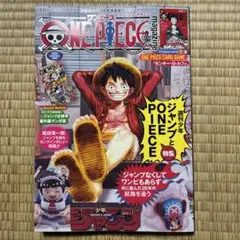 ワンピース　マガジン　ONE PIECE magazine カードなし　本のみ