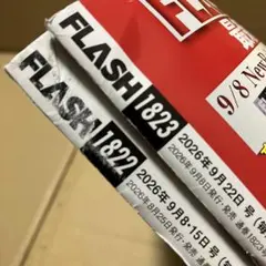 フラッシュ Flash