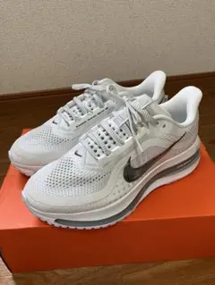 Nike ペガサスプレミアム　26cm