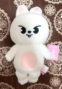 パピーム　　SKZOO　テディベア　パスポートつき　5o'clock ファンミ パピーム SKZOO テディベア パスポートつき 5o'clock ファンミ - メルカリ