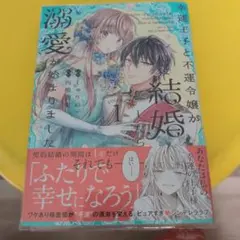 幸運王子と不運令嬢が相殺結婚したら溺愛が始まりました