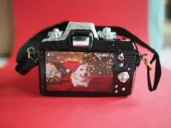 Item thumbnail for item 082d0f87-fae0-4473-96b6-5df277c09c63