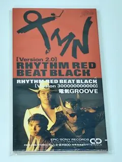 激レア! TMNetwork RHYTHM RED BEAT BLACK ロンT mqdefault.jpg
