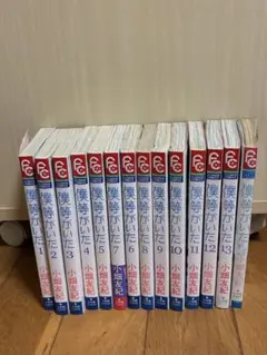 僕等がいた 全13巻セット＋ファンブック