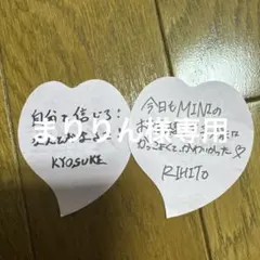 まりりん様専用 INI落下物