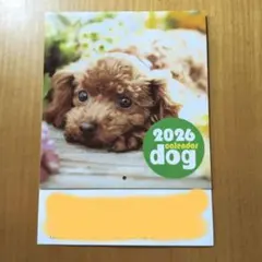 Item thumbnail for item ce945150-4bb7-4161-8807-9614e4a12d79