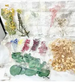 ドライフラワー・プリザーブド花材セット