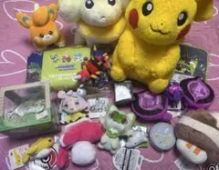 こ*！様 ポケモン ぬいぐるみ グッズ17点セット