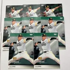 Item thumbnail for item f53d08d3-fec9-4b90-87d1-393e0f465a96