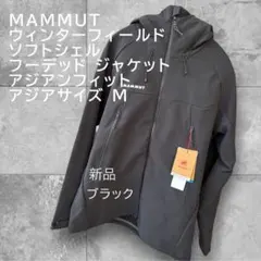 Item thumbnail for item 26ad343e-9c90-4113-9f96-3a4cfb8d837a