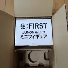 サン生　BE:FIRST JUNON＆LEO フィギュアのサムネイル
