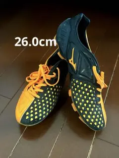 Item thumbnail for item c3f0cb84-f97a-45cc-9256-59d83924b1b4