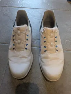 新品タグ付】FootJoy FJ FLEX XP ゴルフシューズ25.0㎝ 白 - メルカリ