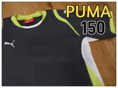 PUMA  キッズ　スポーツ　150サイズ【001】