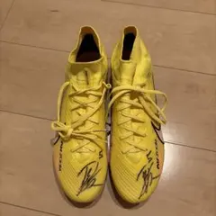 モコ　川澄奈穂美選手　サイン入りスパイク モコ様専用 川澄奈穂美選手 サイン入りスパイク - メルカリ