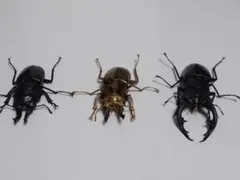 いきもの大図鑑 くわがた03 3体セット