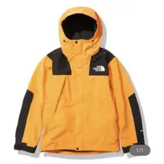 THE NORTH FACE マウンテン ジャケット NP61800_SG