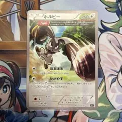 ホルビー トレーディングカード xy 1枚
